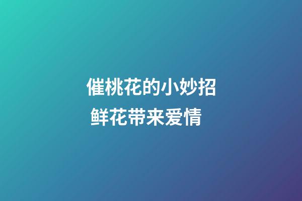 催桃花的小妙招 鲜花带来爱情